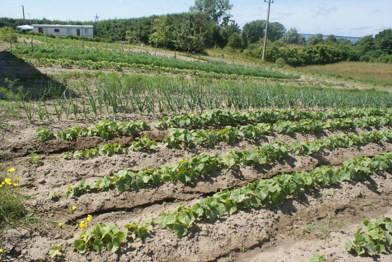 Agrodomki Okej -Dom Koko Ґардна-Велика Екстер'єр фото